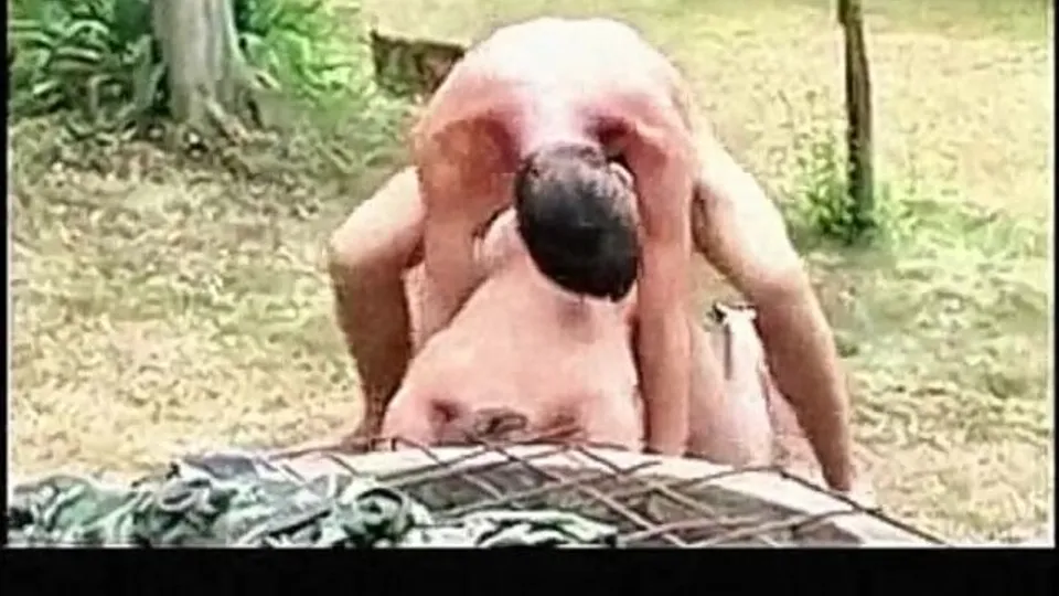 000 hot guys have beautiful sex 9113