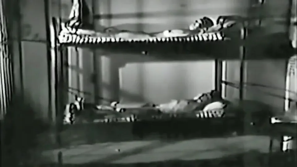 1973 Pigs Rule - ThisVid.com