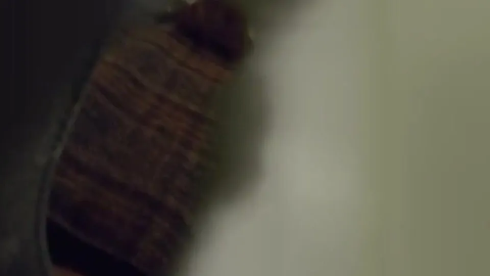 Roppongi Sister Creampie