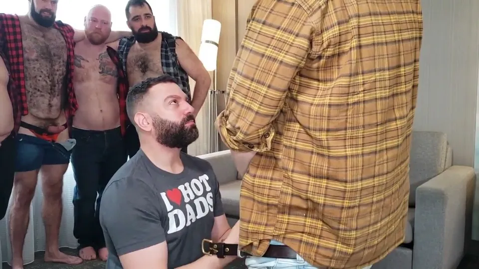 5 or 6 bears in an orgy - ThisVid.com