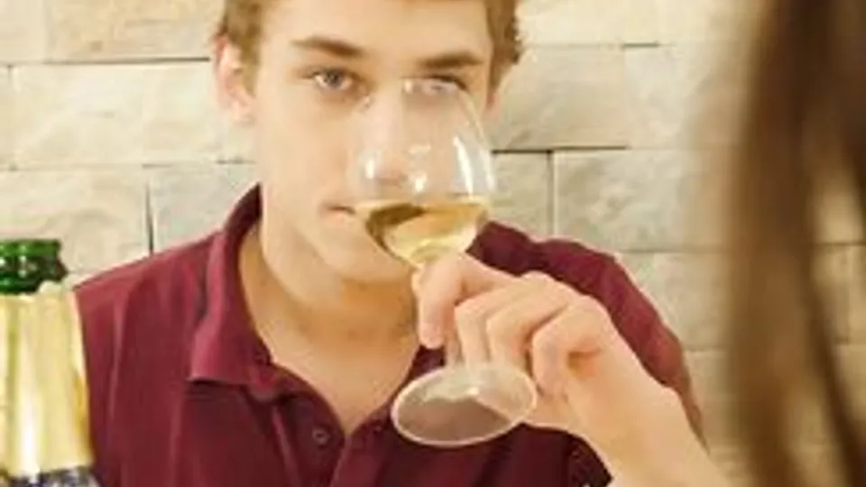 A Glass Of Wine Bareback Gay Porn Videos