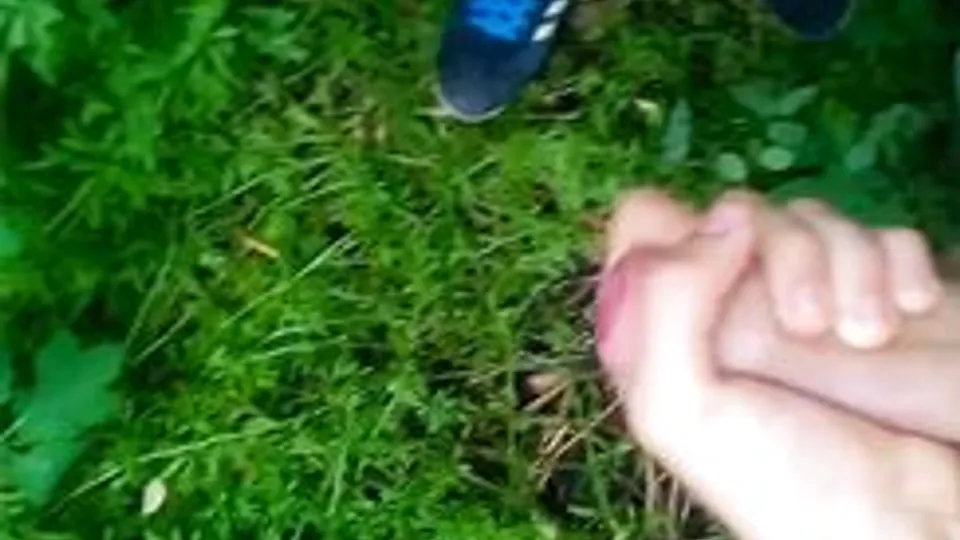 [ABX][1][366] - Watering the grass