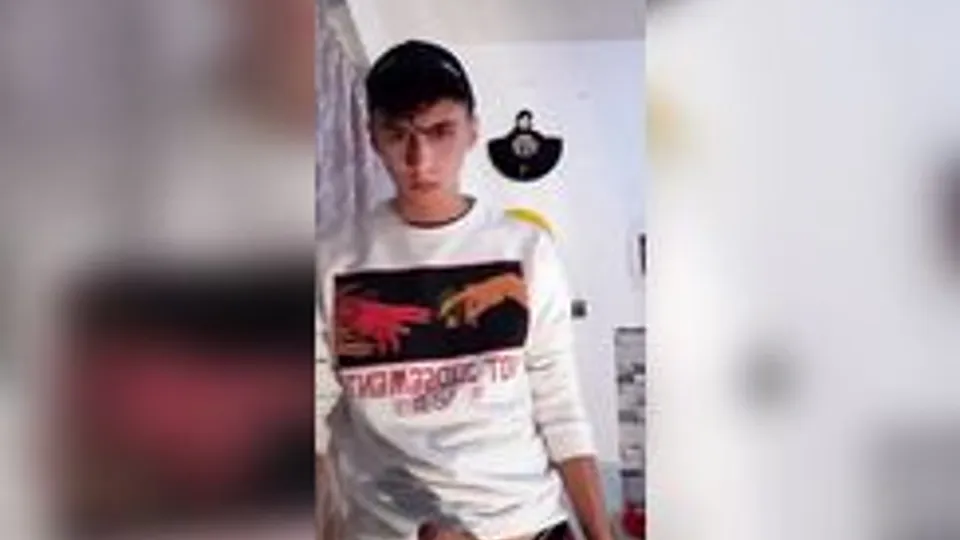 Masturbation chez les minets