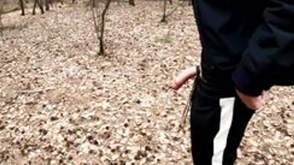 [ABX][3][738] - Vibrator fun in crowded central park