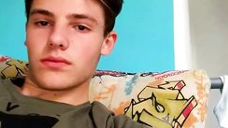 [ABX][VIP] Stud pup Walter wanks it