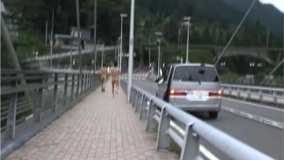 acceed -- Addicted to Exhibitionism