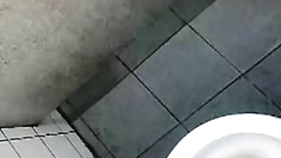 Action in toilet