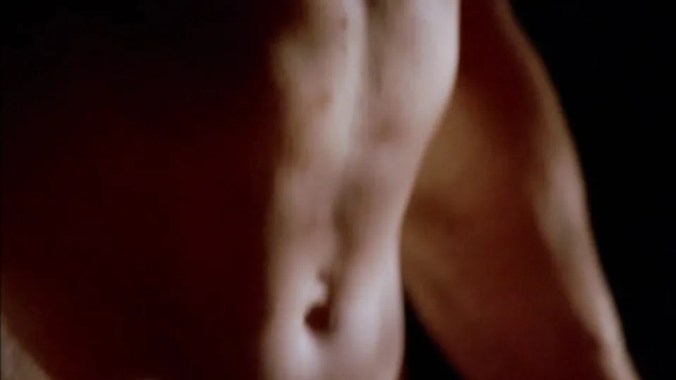 Adam Harrington & Randy Harrison's Intimate Gay Encounter