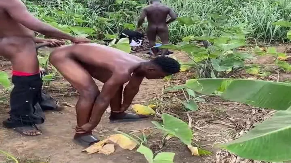 Africanporn Nude Leaks Gay Porn, Sizzling Hot Black Dudes Naughty Cock Sucking Public Anal Bareback (18).mp4