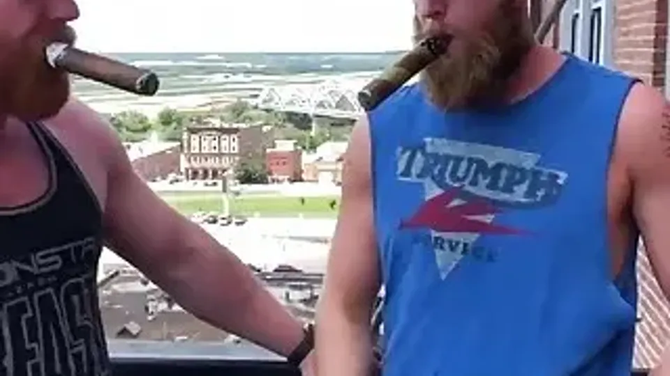 Bearded Bears in Anal Action
