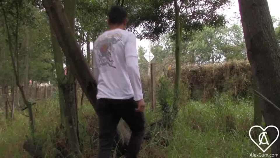 Roadside Masturbation