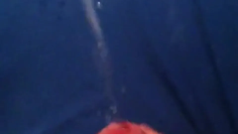 Teen's Far Shot Cumshot on Bed