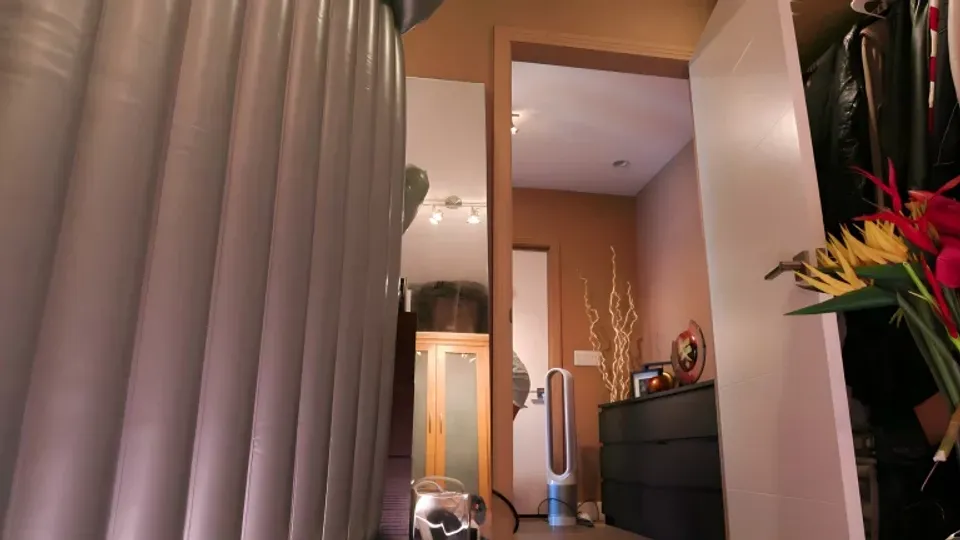 Aidra Fox 迷恋着继父的阴茎