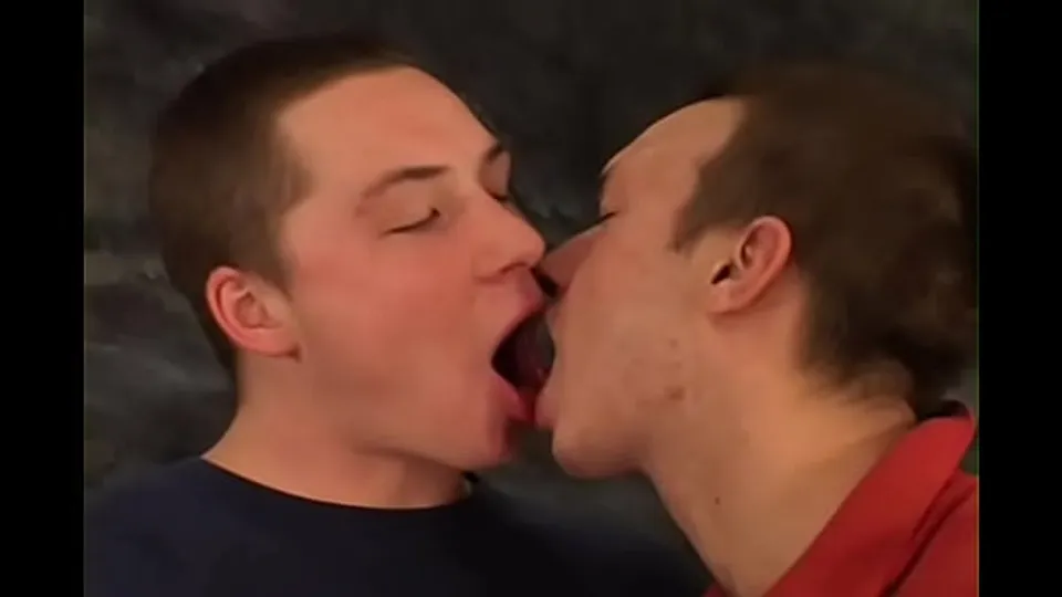 Brothers Ales and Ondrej Havlicek in Gay Threesome