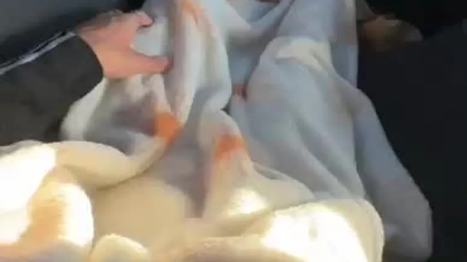 "Młody chłopak całuje się i robi anal"