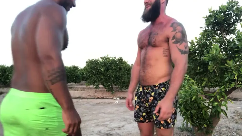all day bbc  — PornOne ex vPorn
