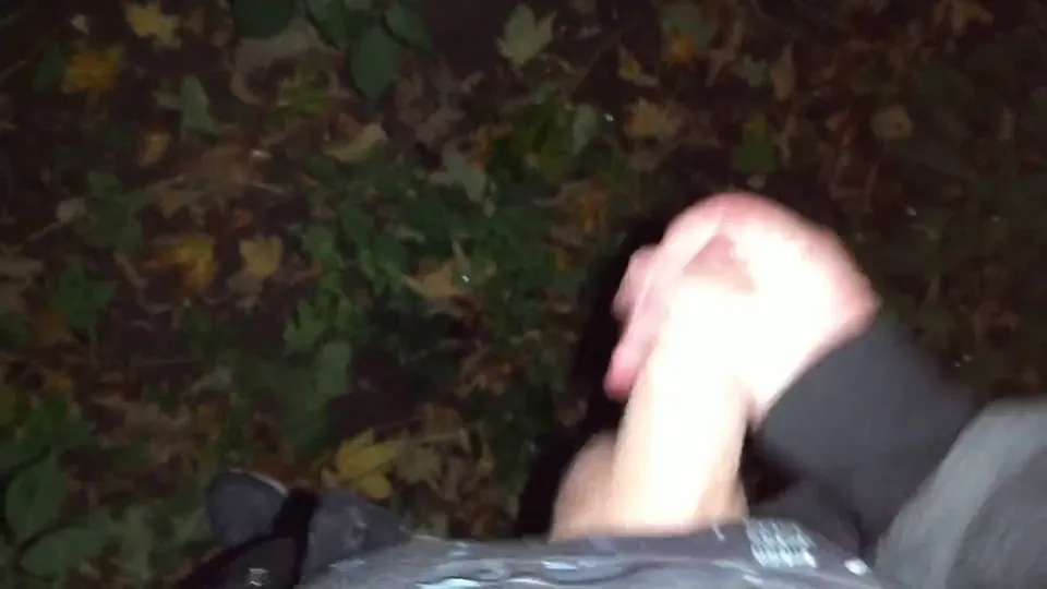 Almost Caught Peeing & Wanking Outdoors_BigHairyFag.mp4