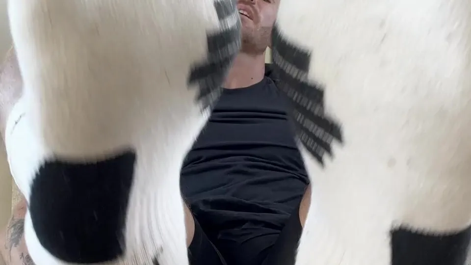 Alpha humiliates fag - ThisVid.com
