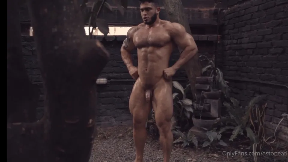 Alpha muscle atlas stone flex muscle - ThisVid.com