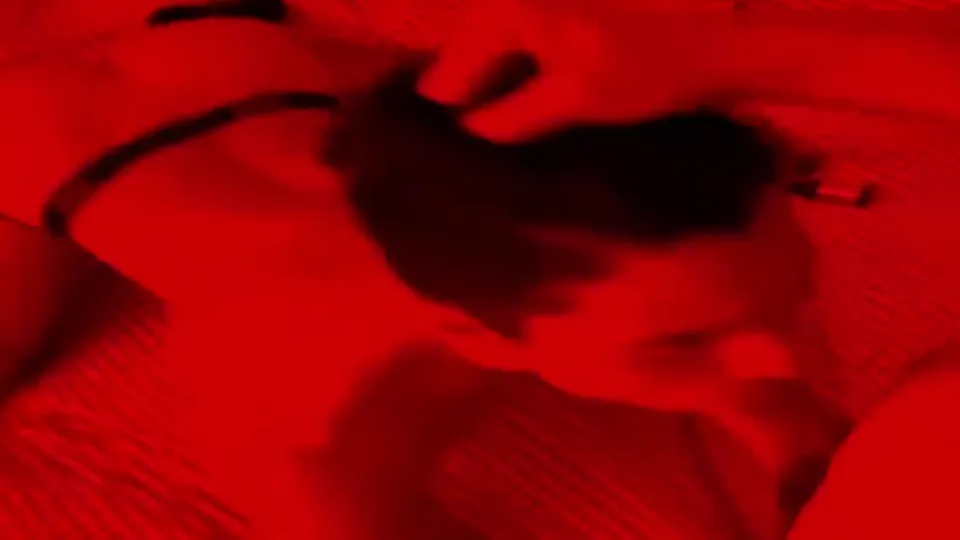 AlphaBottom Submissive Big Butt Dick Sucker, Bubble Butt Bottom Is So Cockthirsty, Anal Domination (15).mp4