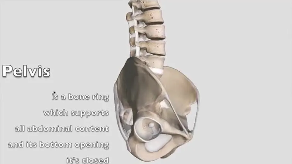 Karpos' Male Orgasm Compilation