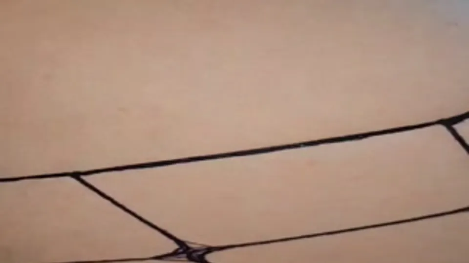 Anaconda9inches Nude Leaks Ebony Gay Porn, 9 Inch Black Cock Devouring Booties, Sexy Dudes Intense Ass Fuck Cock Ride (13)