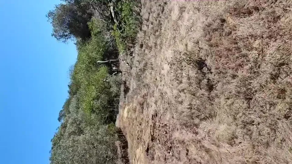 Anaconda9inches Black Cock Ebony Gay Ass Fuck