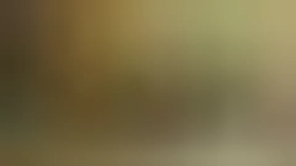 Anal Virgin's First Experience