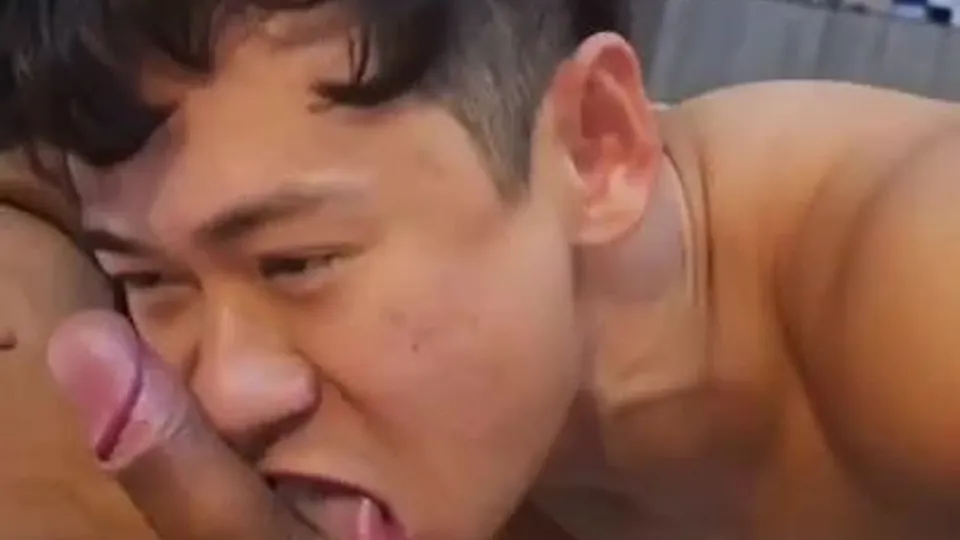 Asian 1368
