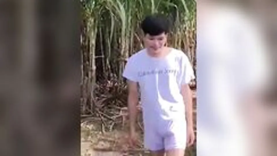Asian boy in jungle