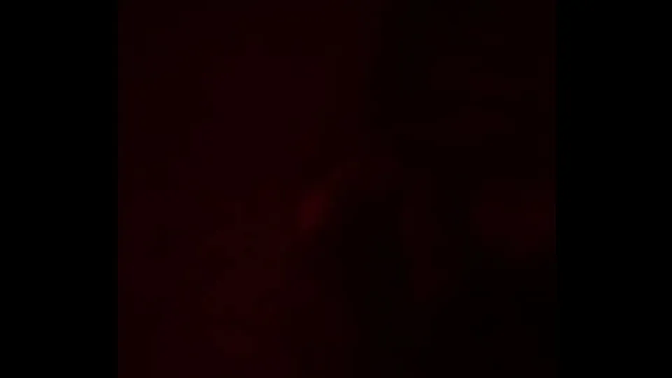 Asian sucking me up in the woods