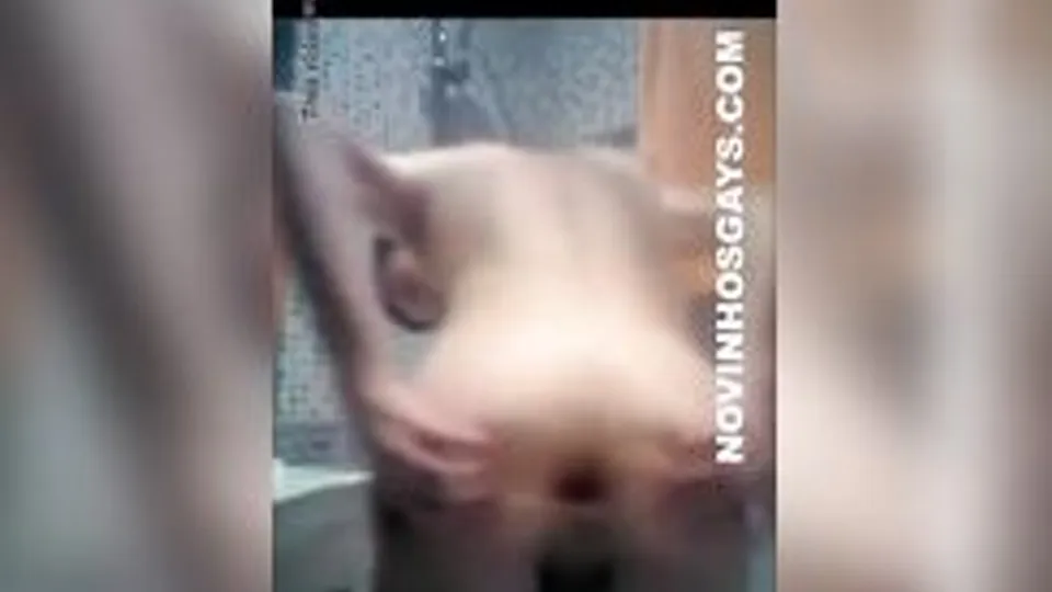 Asshole latin