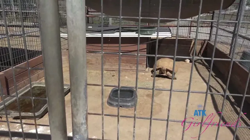 Nicole Nichols in Temecula