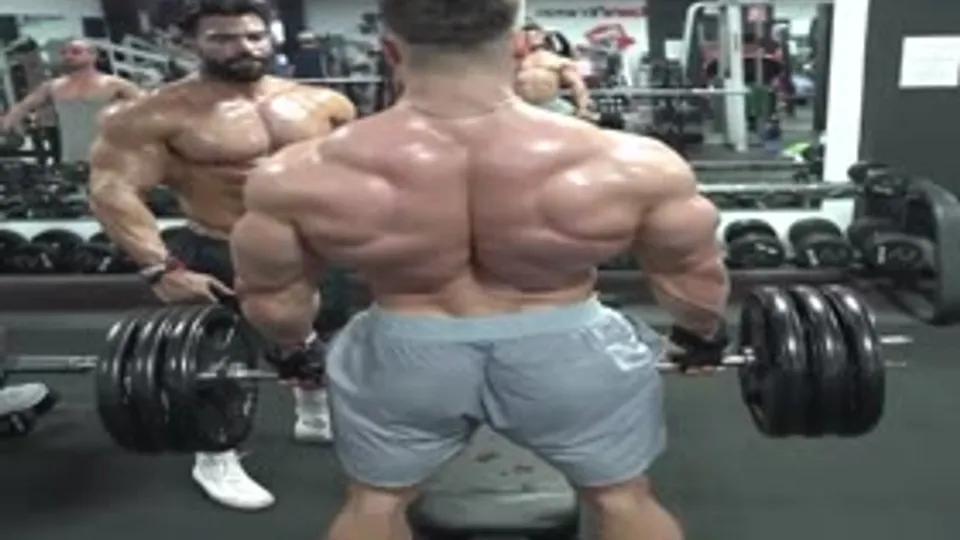 Back