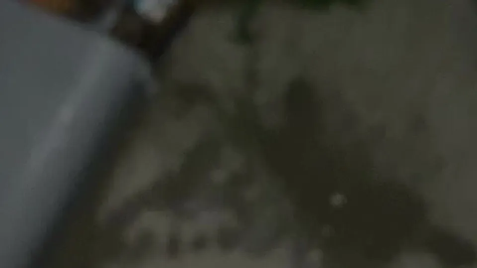 Baltimore cellus - video 2 - ThisVid.com