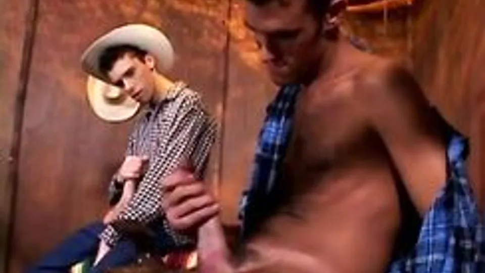 Barn Butt Fuck Trio Gay Porn Videos