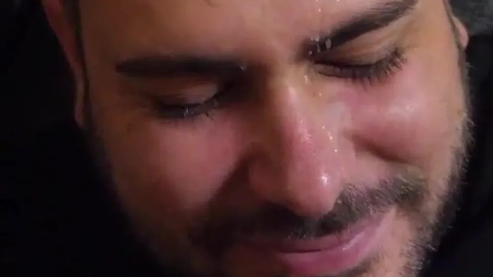 Bear facial - ThisVid.com