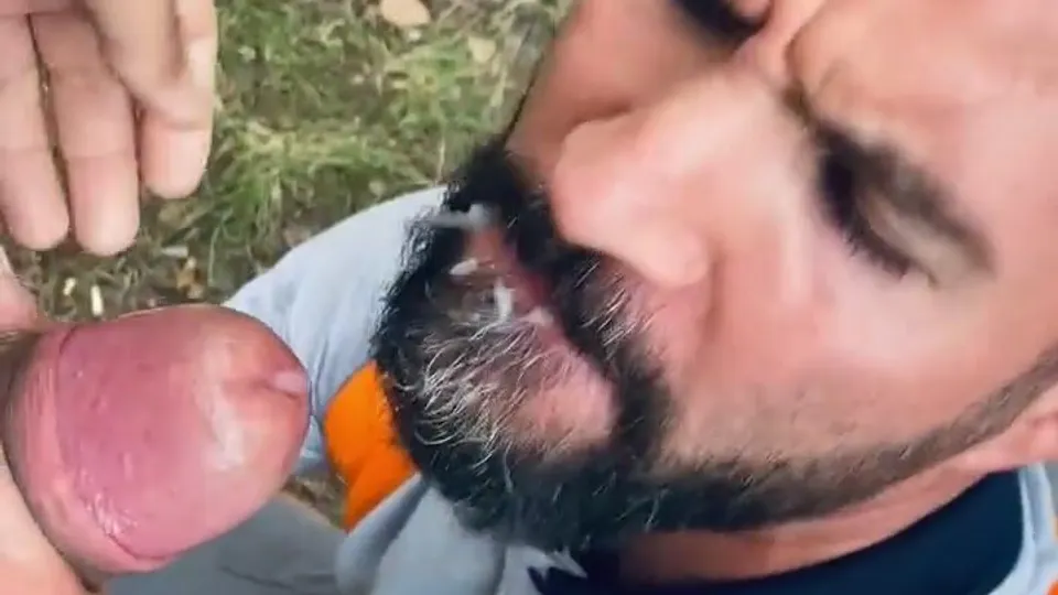 Bear facial - video 120 - ThisVid.com