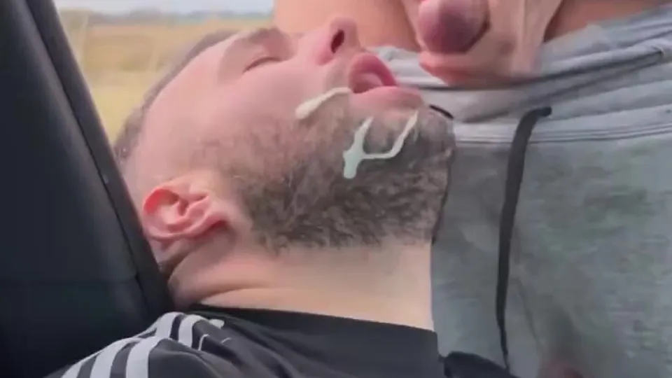 Bear facial - video 37 - ThisVid.com