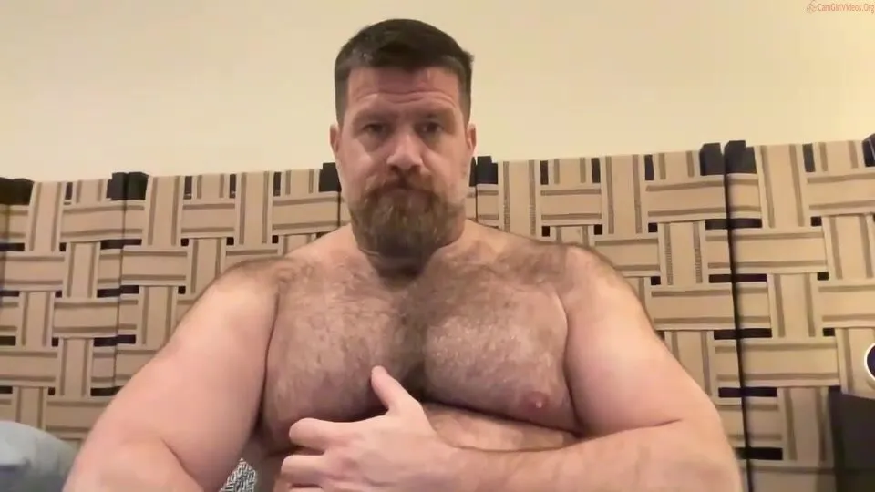 Bear jacking - video 408 - ThisVid.com