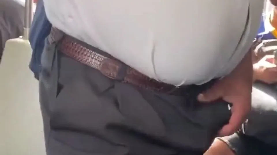 Bear on public transport - ThisVid.com