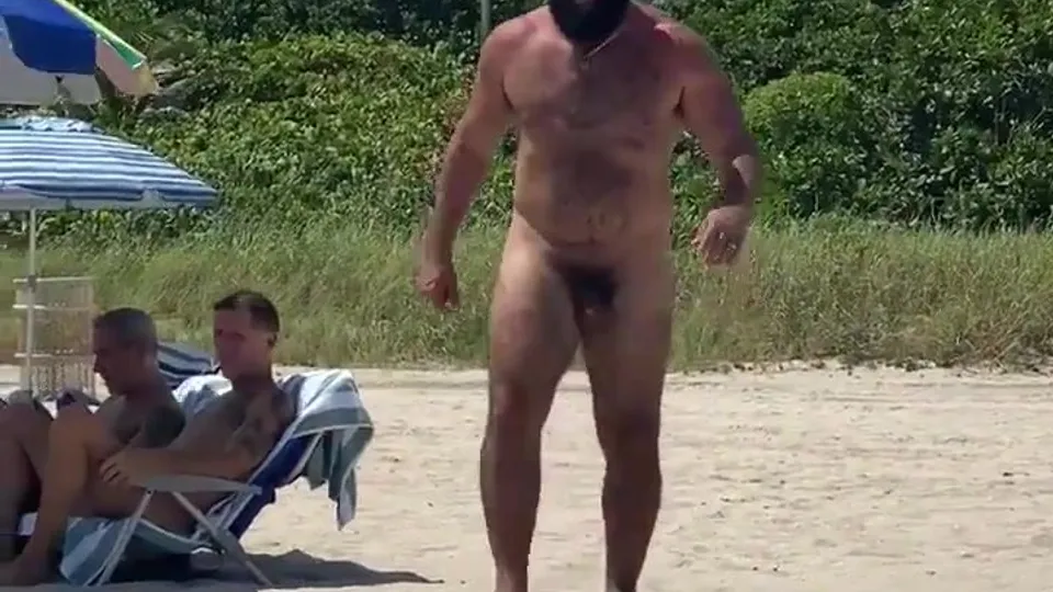 Bear outdoor - video 3 - ThisVid.com