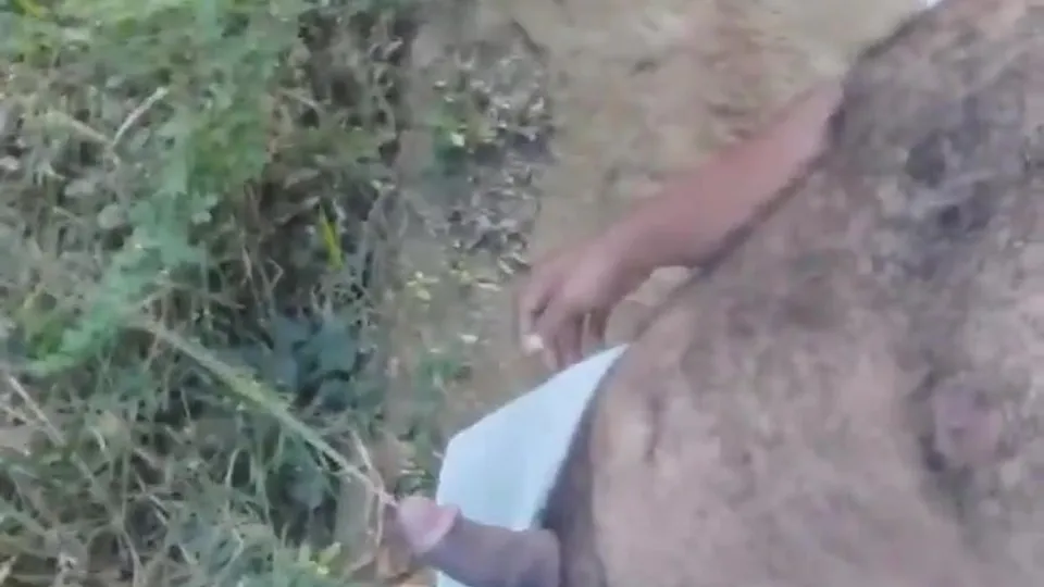 Bear pissing #5 - ThisVid.com