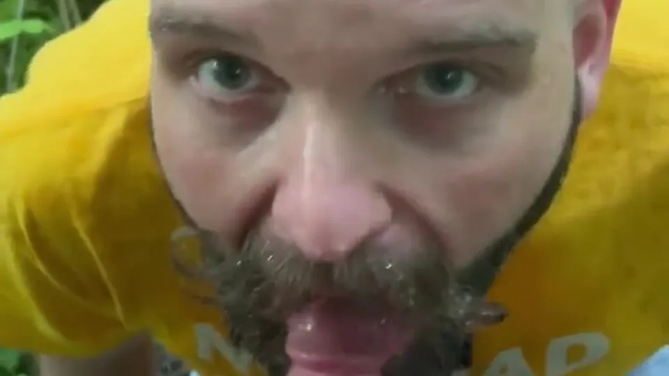 Bear pissing - video 11 - ThisVid.com
