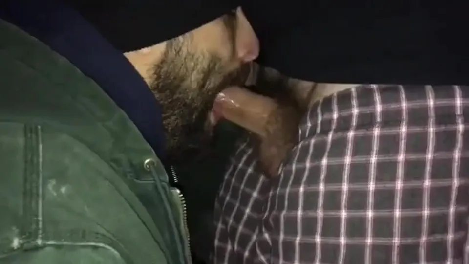 Bearded guy sucking hairy cock - ThisVid.com