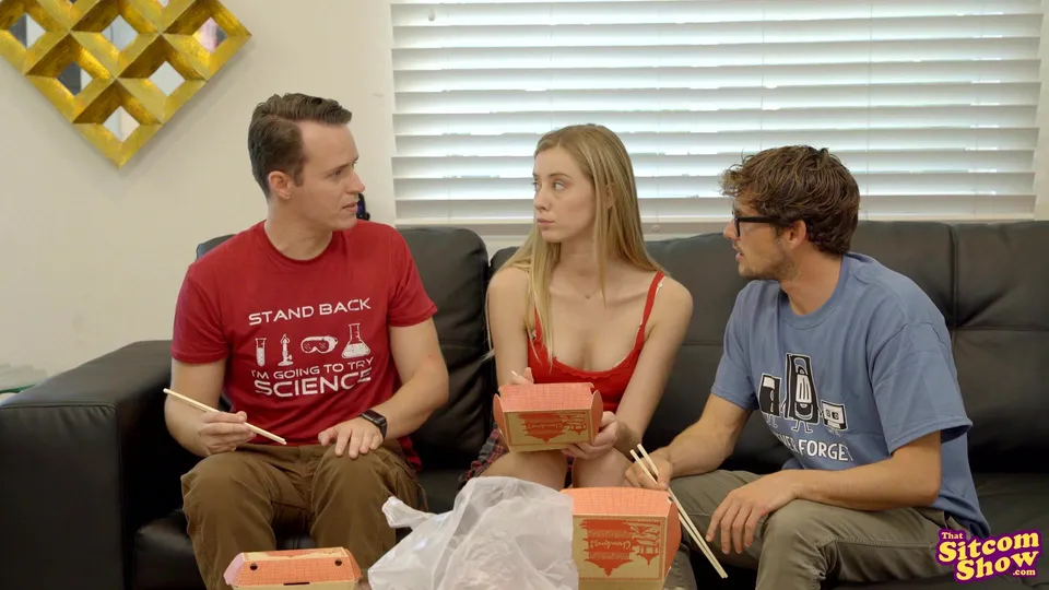 Penny and Leonard's Roommate Agreement