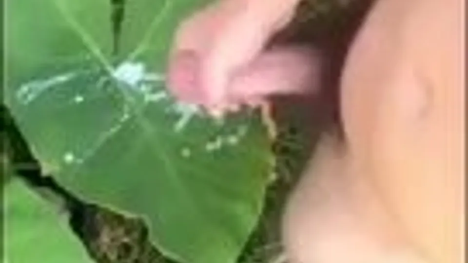 Big Cocks Cumpilation - ThisVid.com