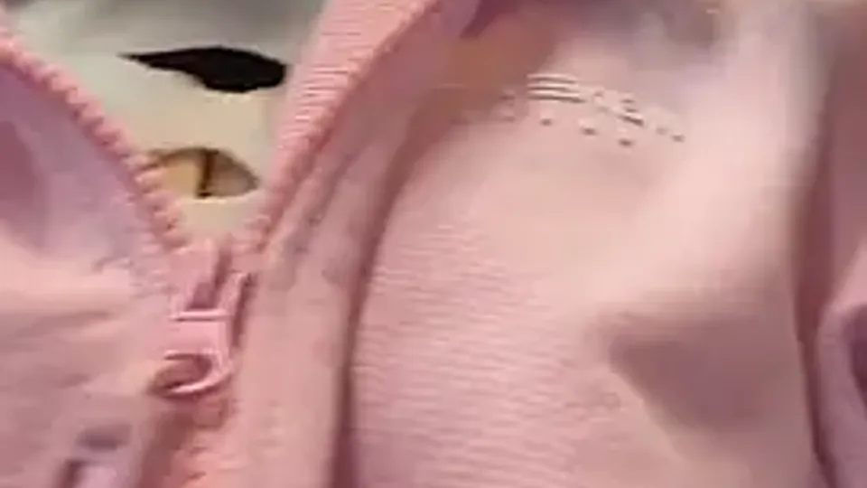 Big dick papi