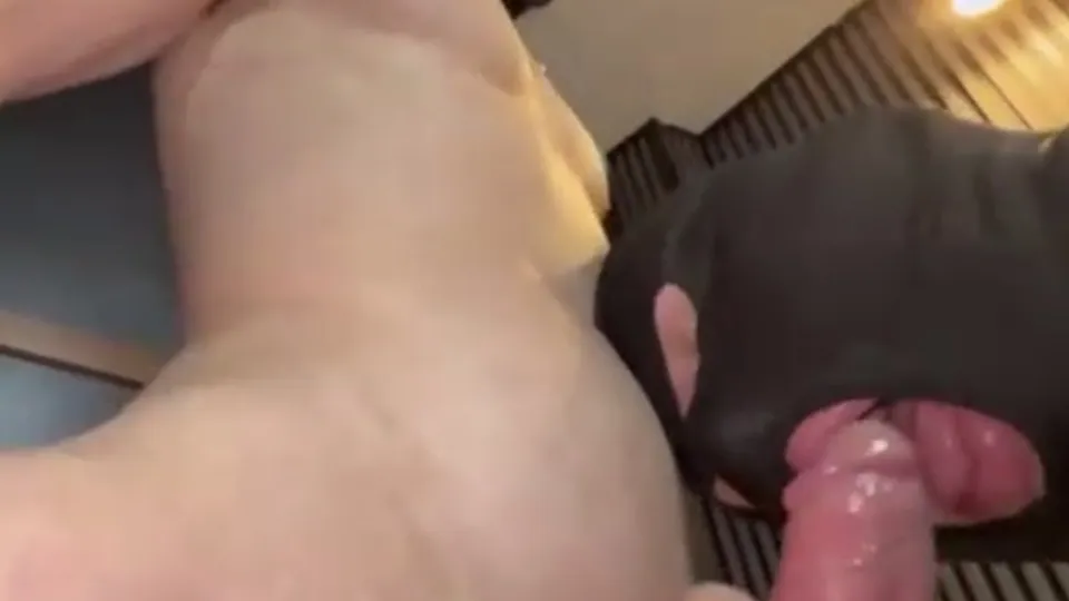 Big Latino dick sucked - ThisVid.com