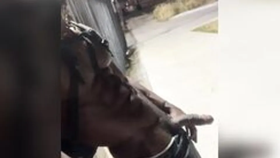 Gay Twink Masturbation in Public